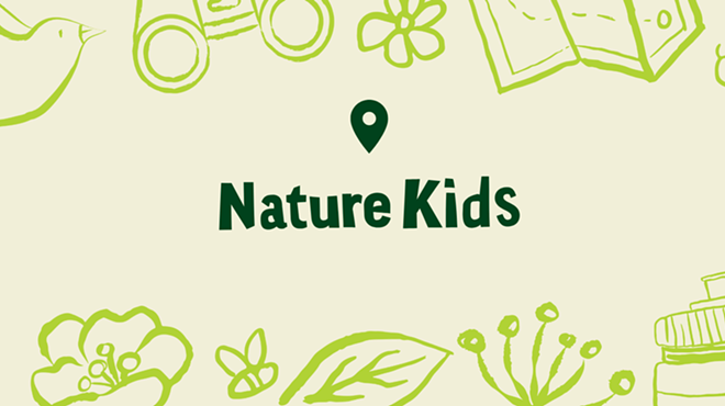 Image: Nature Kids: Interesting Insects!