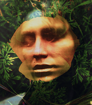 Image: Nature's Luminescence Within The Human Spirit with Elif Koyut&uuml;rk