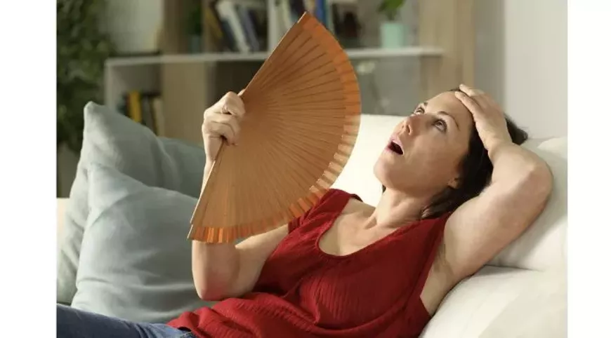 menopause.webp
