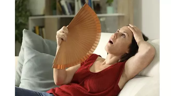 Image: Navigating Perimenopause & Menopause: Understanding Hormones