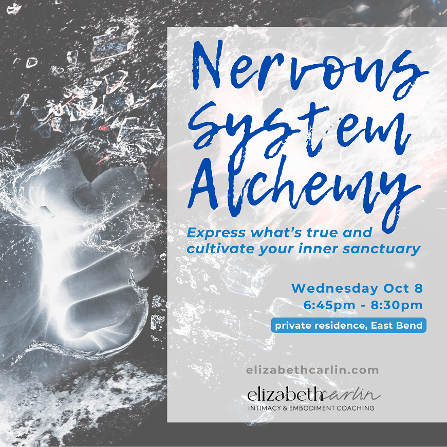 nervous_system_alchemy.png