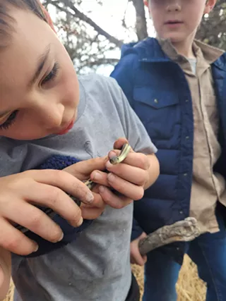 Image: Nighthawk Spring Break Nature Camp!
