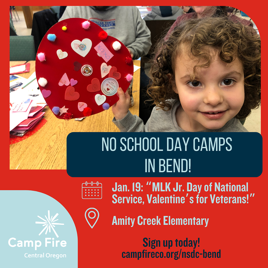nsdc-mlkday-generic.png
