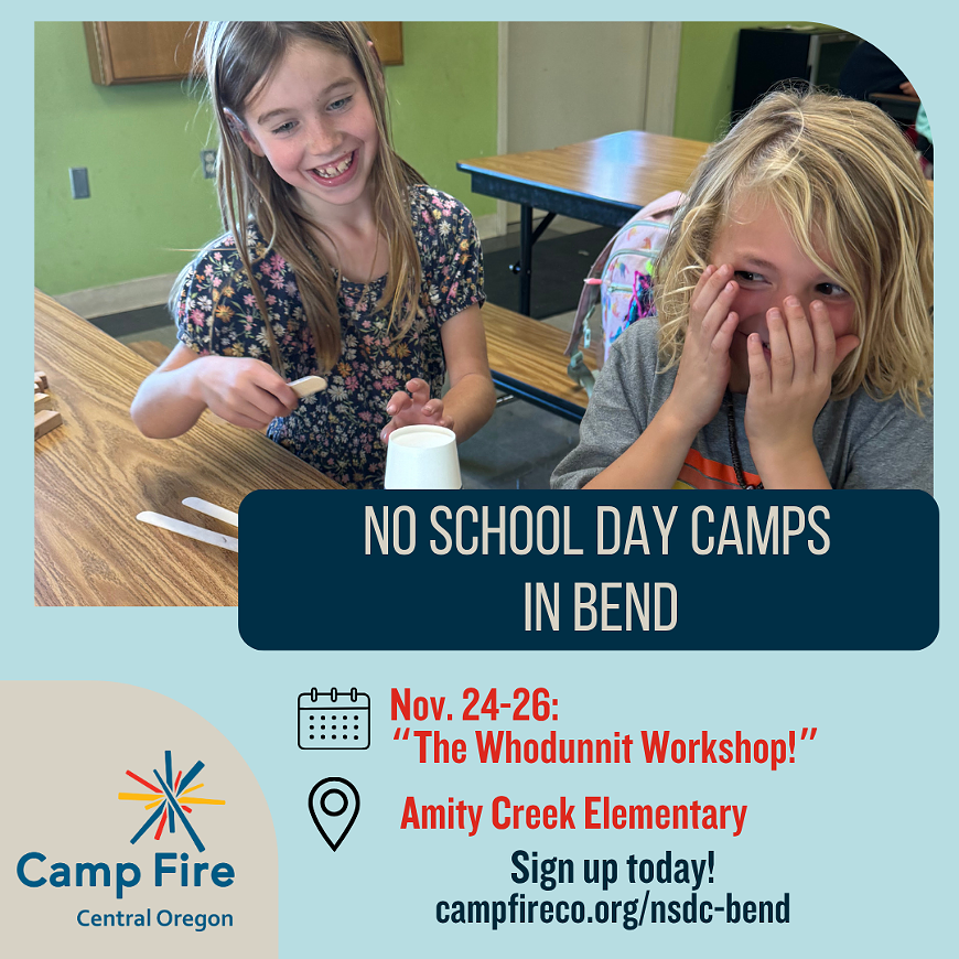 nsdc-whodunnitworkshop-generic.png