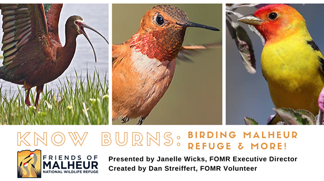 Image: ONLINE ONLY: Know Burn(s) - Birding Malheur and More