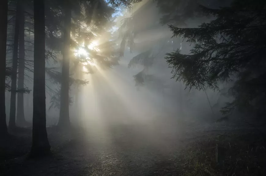 sunbeam-1547273_1920.webp