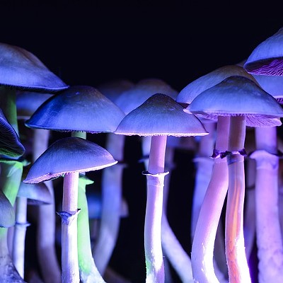 Oregon Voters to Consider Psilocybin Therapy, Drug Decriminalization this Fall