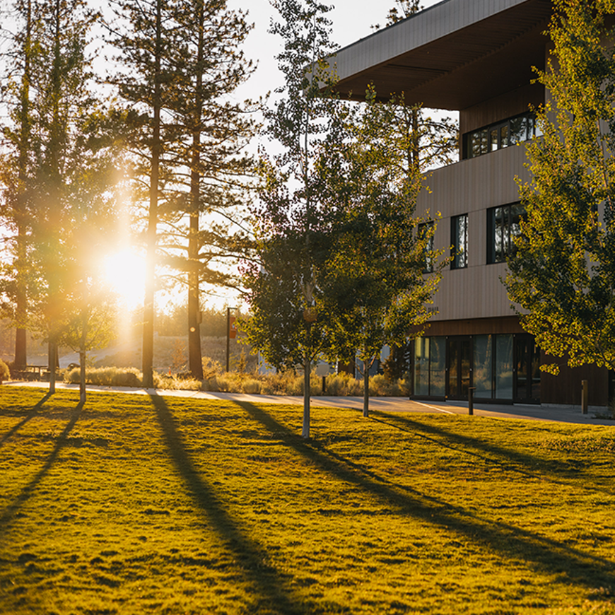 sunny_sunset_-_1080_x_1080.png