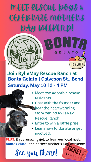 Image: Paws & Pints of Gelato