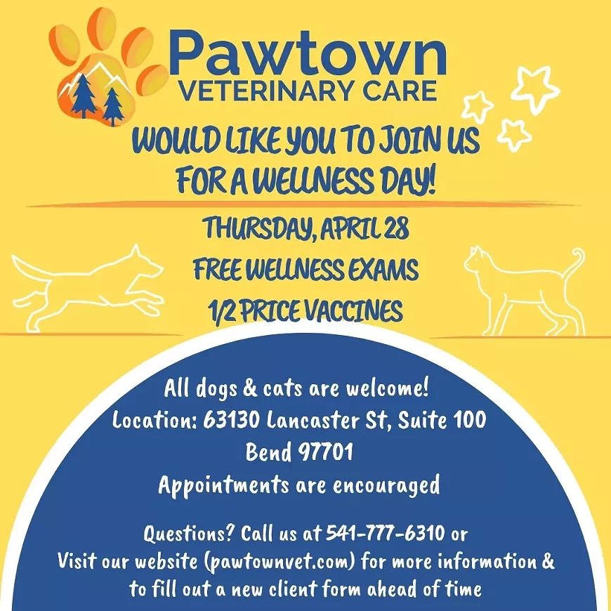 join_us_for_a_wellness_day_.webp