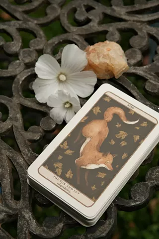 Image: Pet Tarot Card Making
