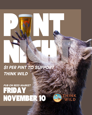 Image: Pint Night Supporting Local Non-Profit Wildlife Rehabilitation and Conservation Group - Think Wild