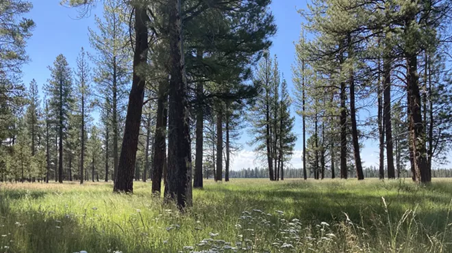 Image: Plant Hike