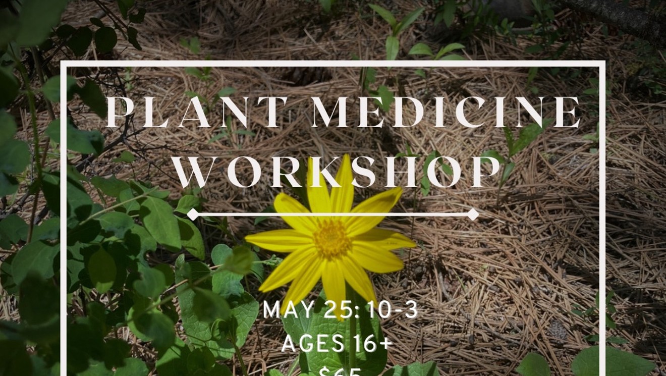 Plant Medicine Workshop