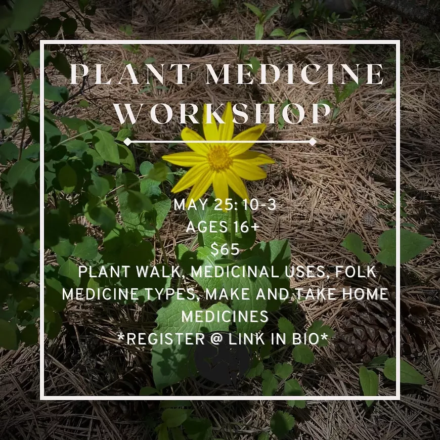 Plant Medicine Workshop