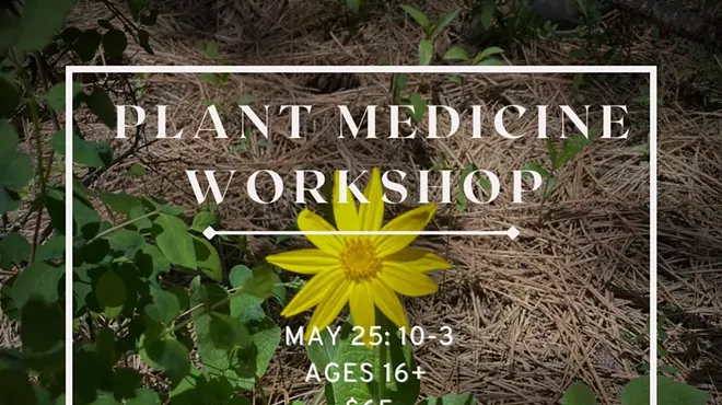 Image: Plant Medicine Workshop