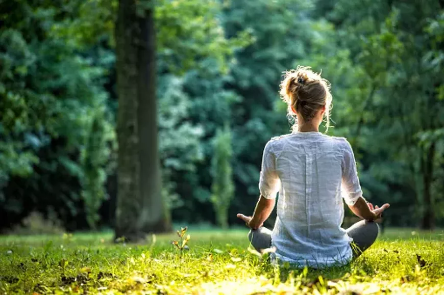 Ground and Connect with Plant Spirit Communication
