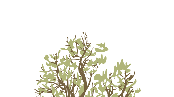 Image: Planting Party