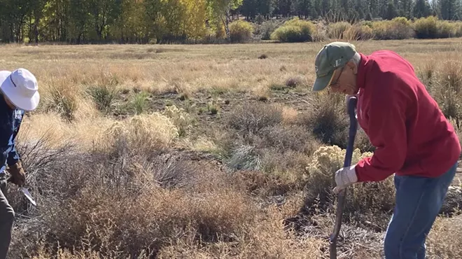 Image: Planting Party