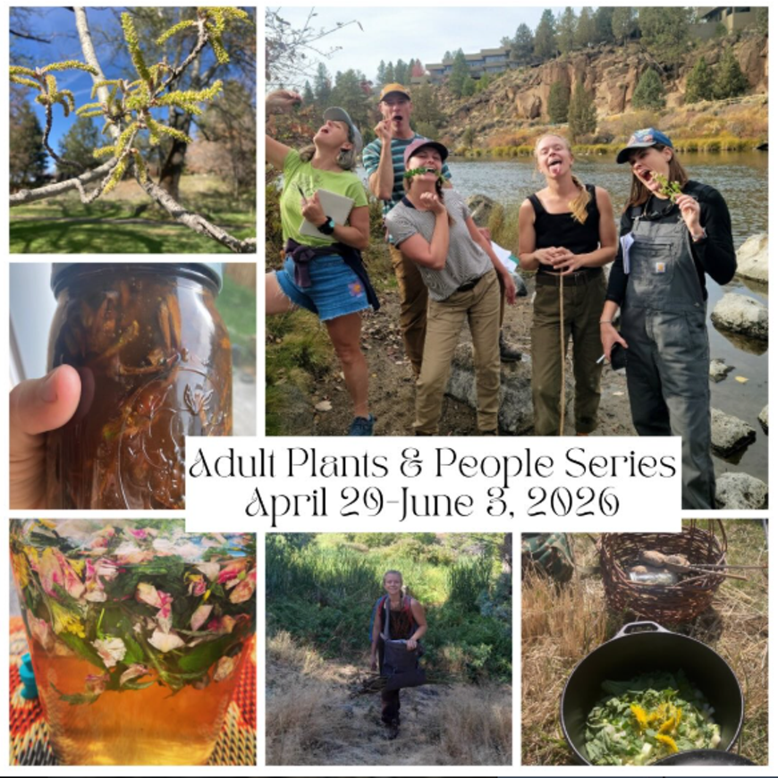 Plants and People Course Series