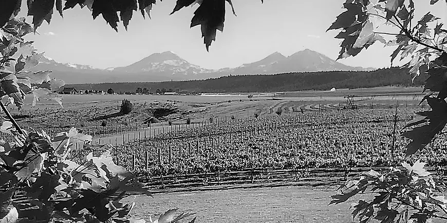 22nd_praise.webp