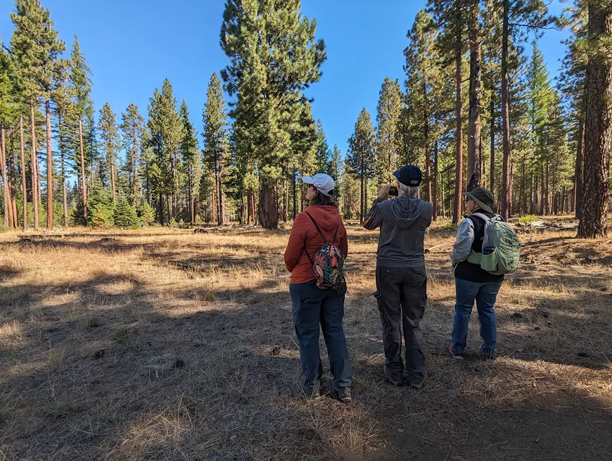 deschuteslandtrust_39981341.webp