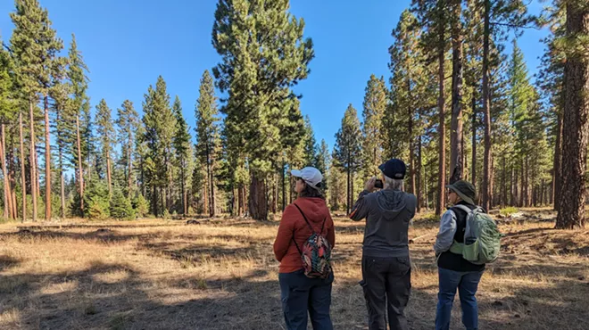 Image: Predators of Central Oregon