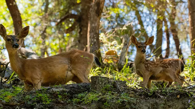 Image: Protecting Wild Public Lands for Current and Future Generations