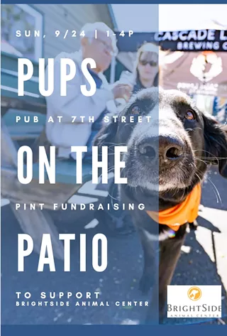 Image: Pups on the Patio