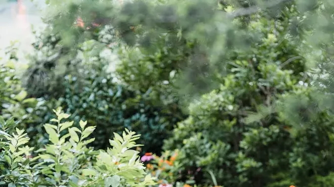 Image: Putting Your Garden to Bed