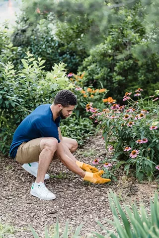 Image: Putting Your Garden to Bed