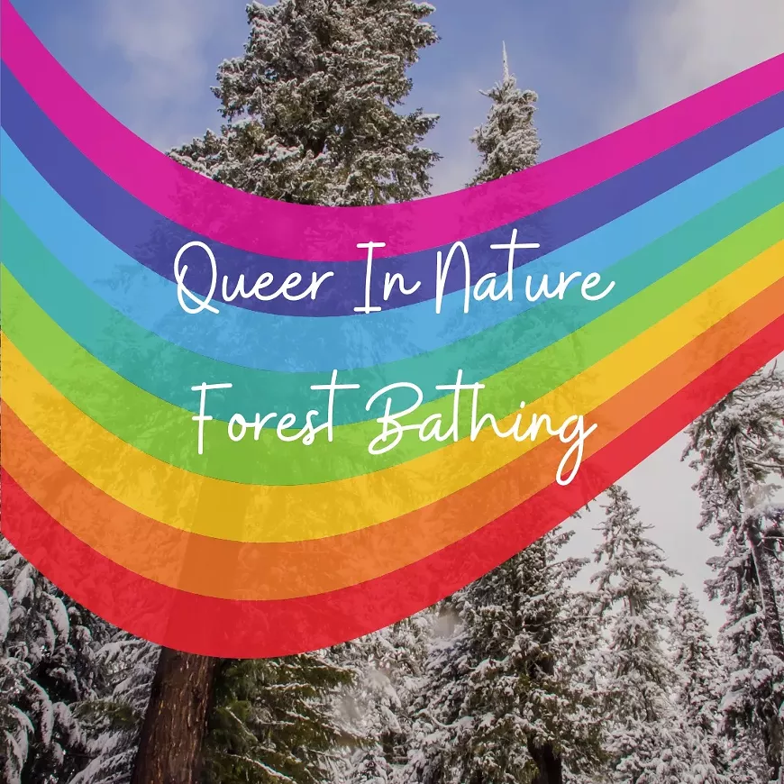 forest_bathing_2_.webp