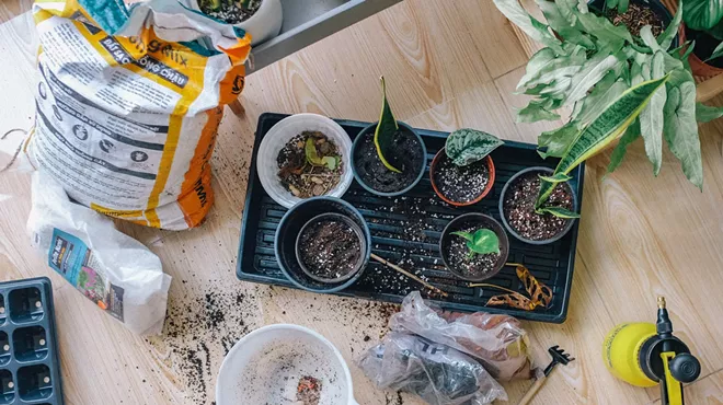 Image: Redmond Garden Club Plant Sale