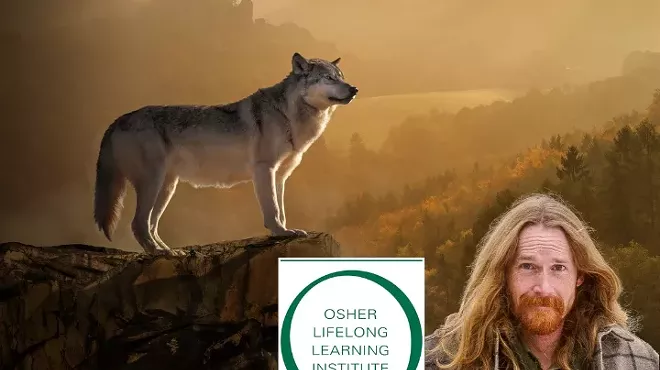 Image: Resilience and Recovery: The Return of Wolves with OLLI-UO