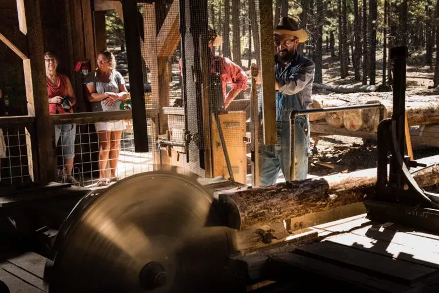 sawmill_demonstration.webp