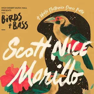 Image: Scott Nice &amp; Morillo