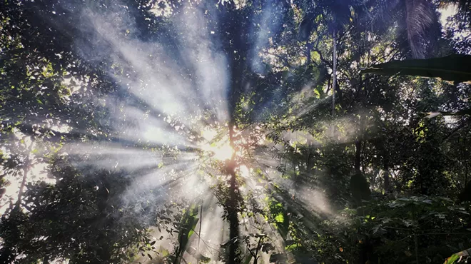 Image: Shining Light on the Shadow: The Journey to Spiritual Wholeness