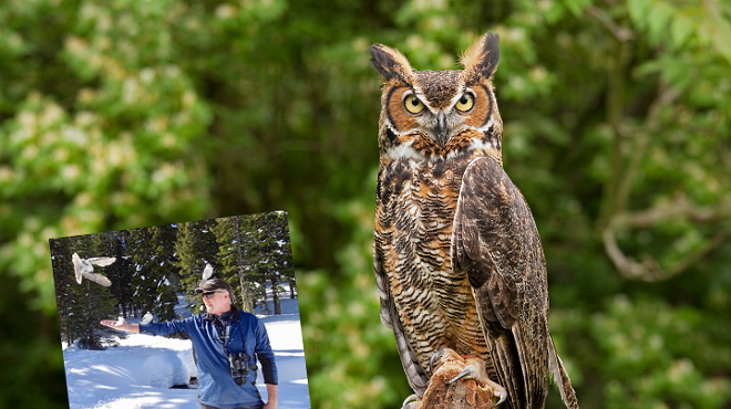 Image: Sisters: Know Timber - Owls of the Forest