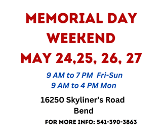 Image: Skyliners Art Sale