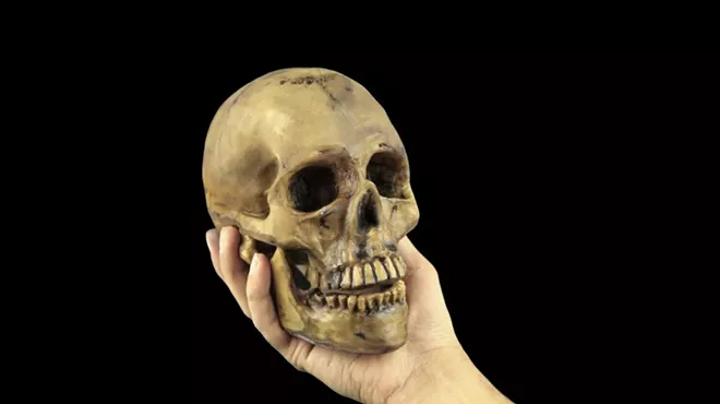 Image: "Something's Rotten" Part 1: Introduction to "Hamlet"
