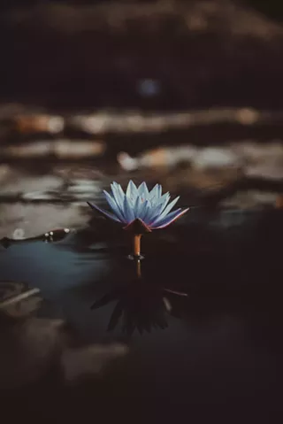 Image: Spring Equinox Sound Bath