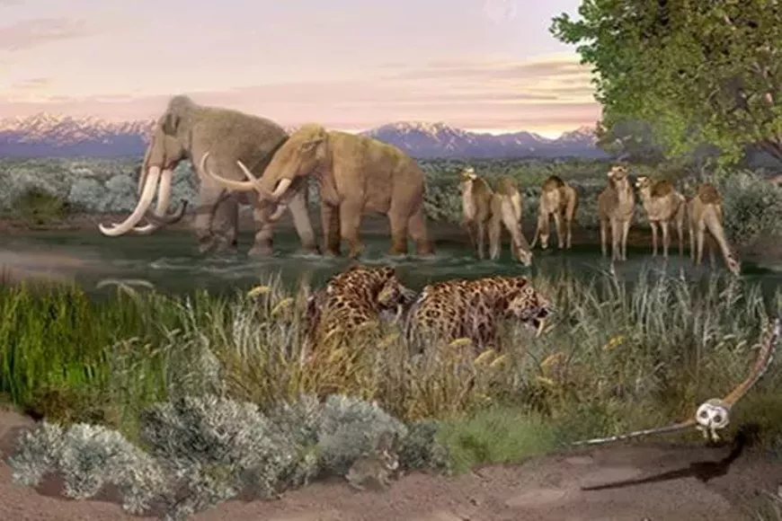 stepintotheiceage-720x480.webp