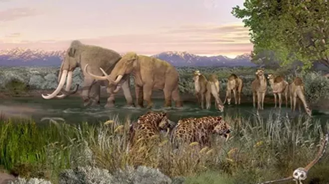 Image: Step Into the Ice Age