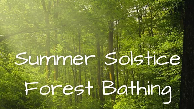 Image: Summer Solstice Forest Bathing