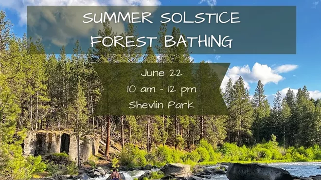 Image: Summer Solstice Forest Bathing