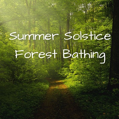 Summer Solstice Forest Bathing