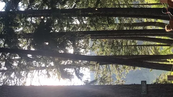 Image: Suttle Lodge's Wine on the Deck Series: Johan Vineyards