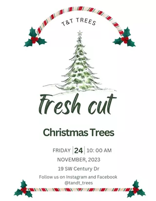 Image: T and T Christmas Trees
