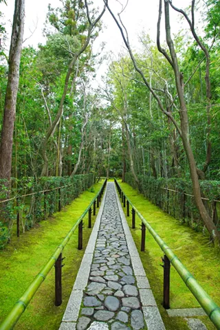 Image: Tai Ji