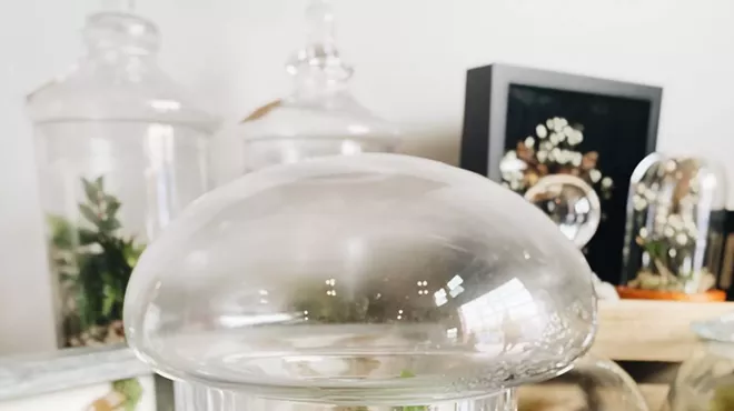 Image: Terrarium Workshop